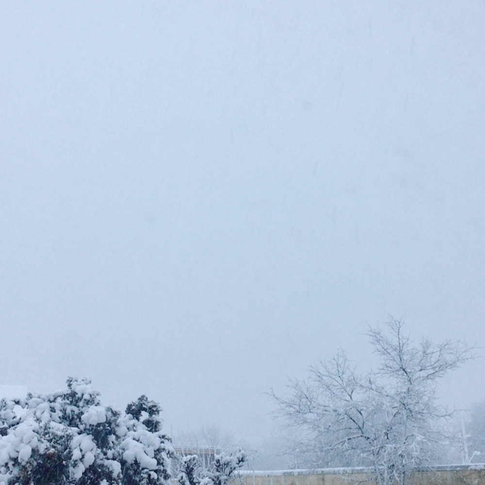 Meet your Posher, Mari